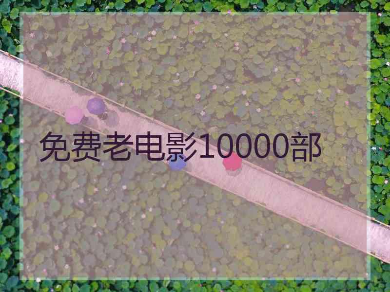 免费老电影10000部