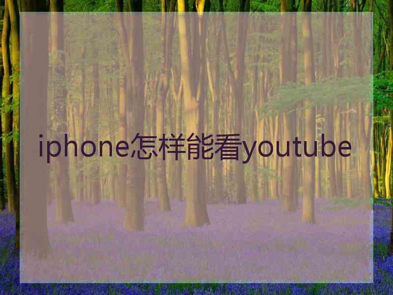 iphone怎样能看youtube