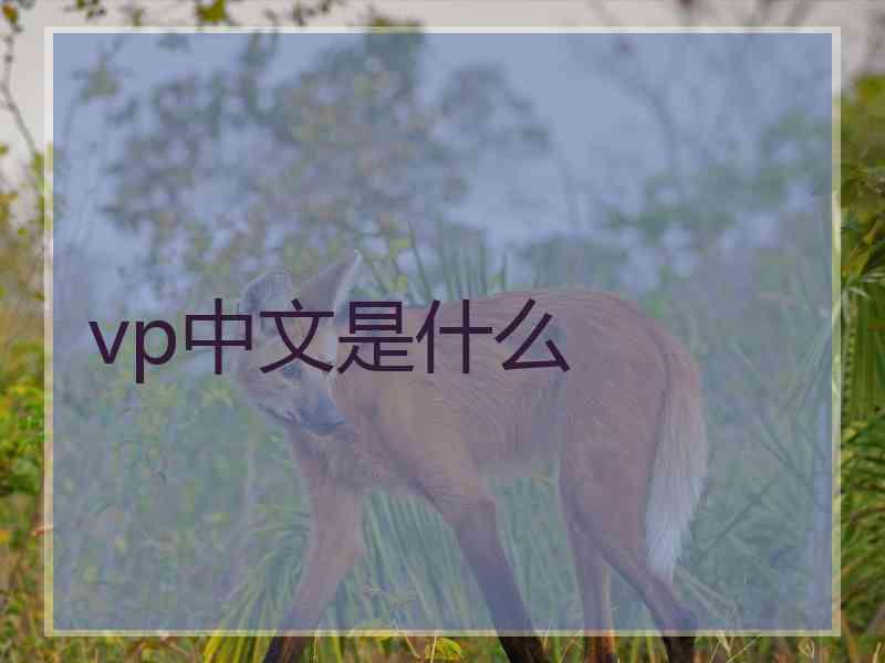 vp中文是什么