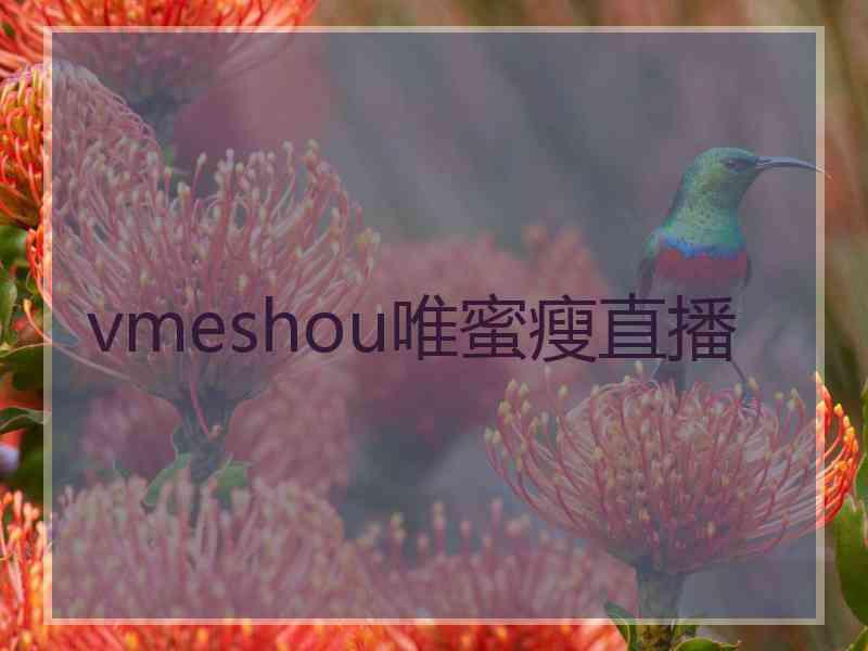 vmeshou唯蜜瘦直播