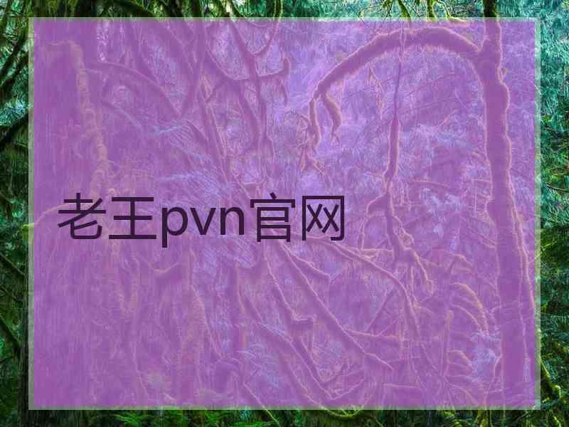 老王pvn官网