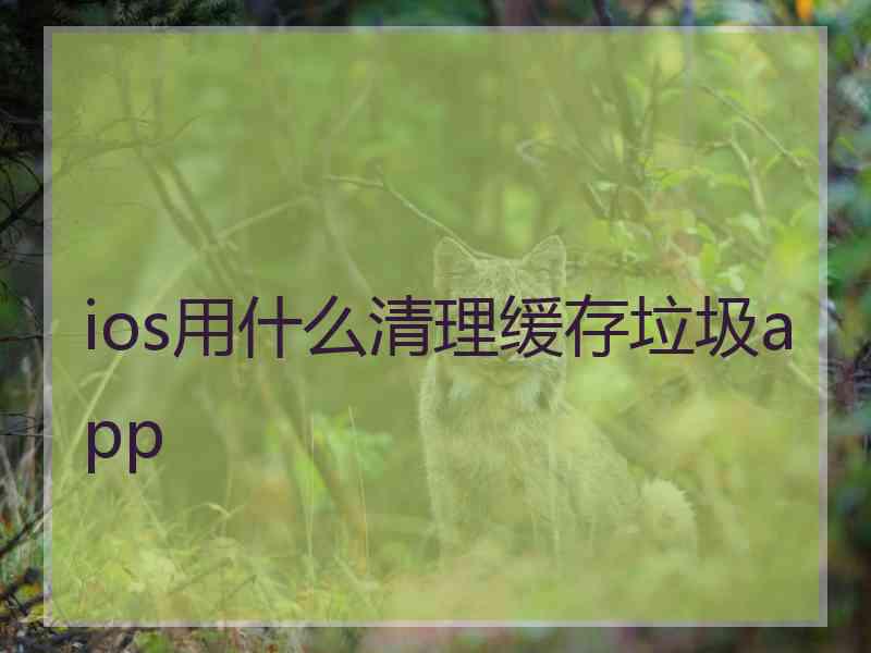 ios用什么清理缓存垃圾app