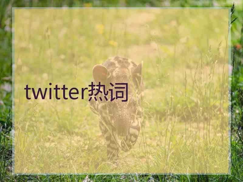 twitter热词