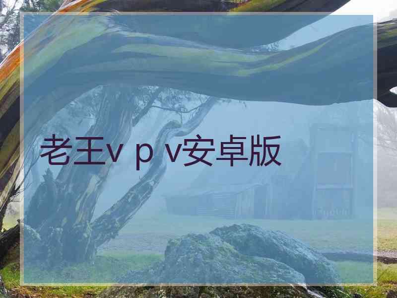 老王v p v安卓版