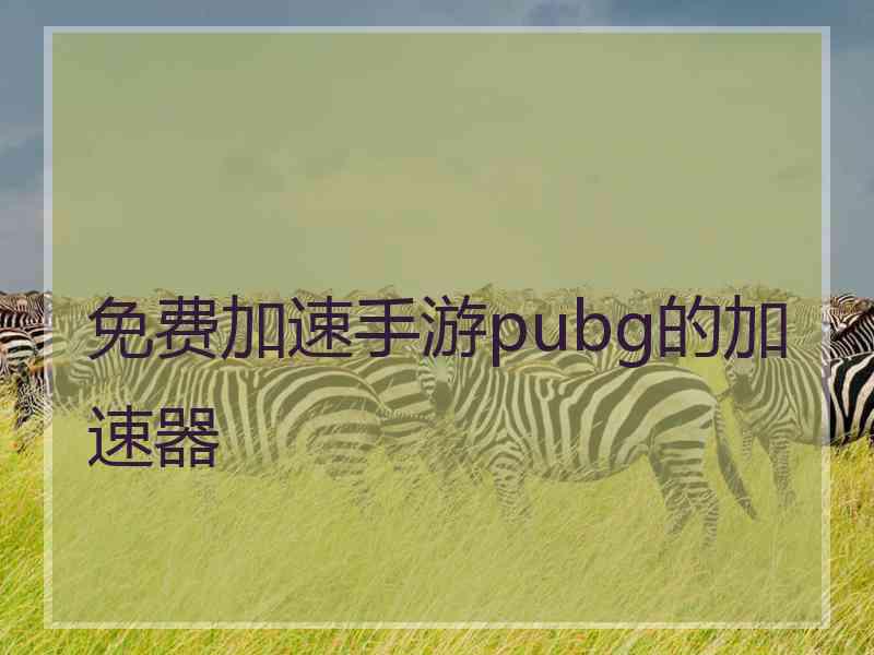 免费加速手游pubg的加速器