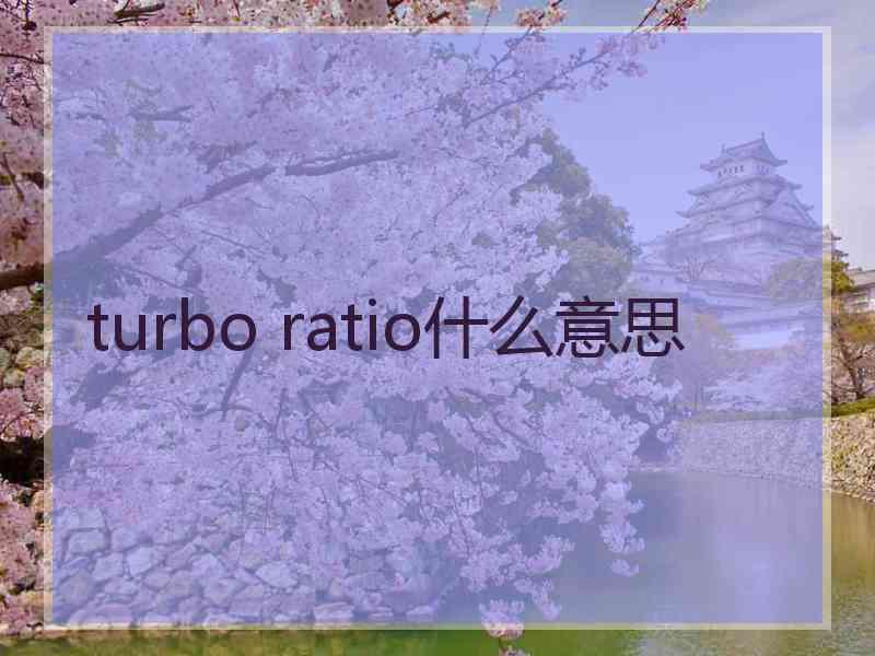 turbo ratio什么意思