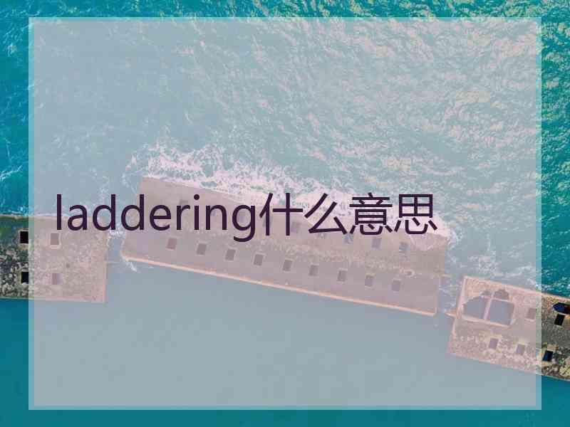 laddering什么意思