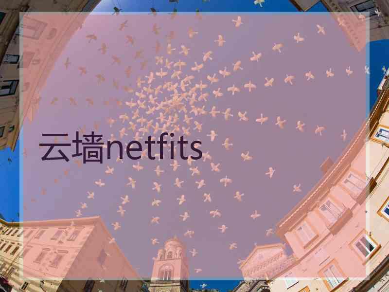 云墙netfits