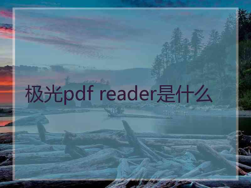 极光pdf reader是什么