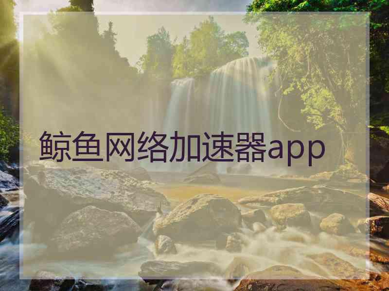 鲸鱼网络加速器app