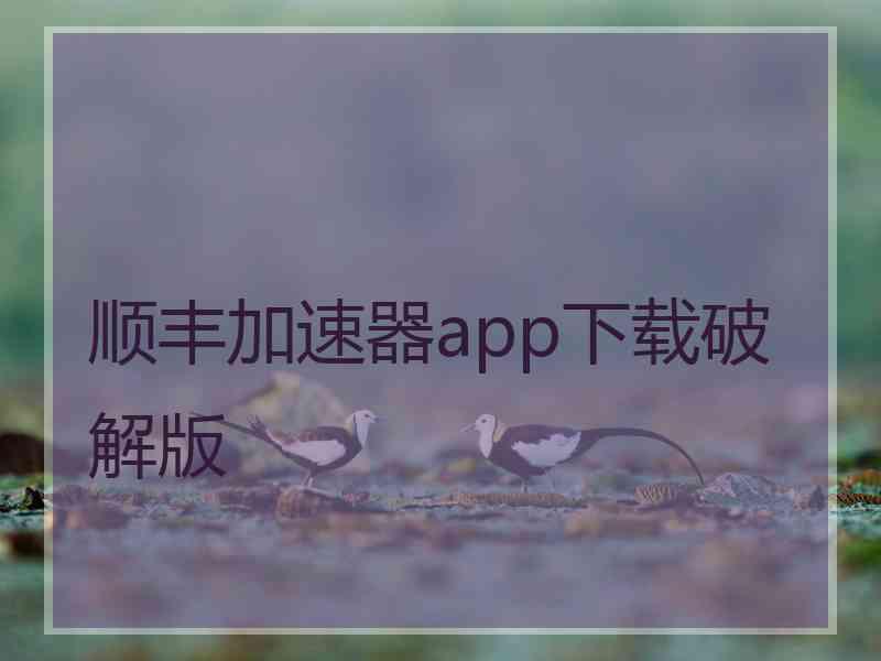 顺丰加速器app下载破解版