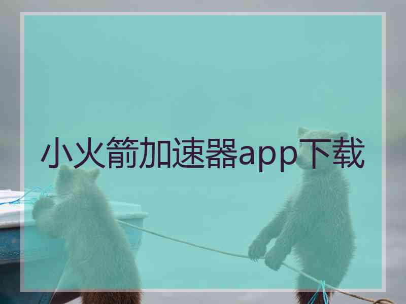 小火箭加速器app下载