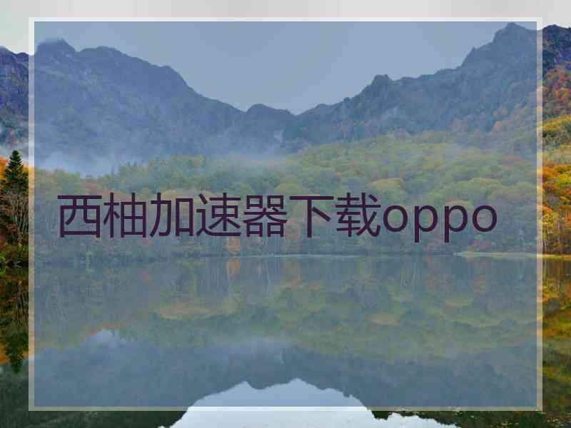 西柚加速器下载oppo