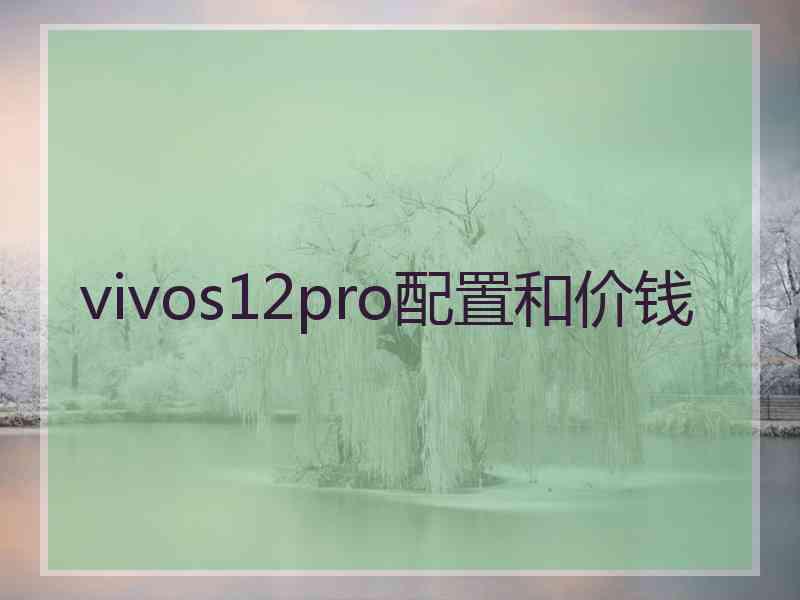 vivos12pro配置和价钱