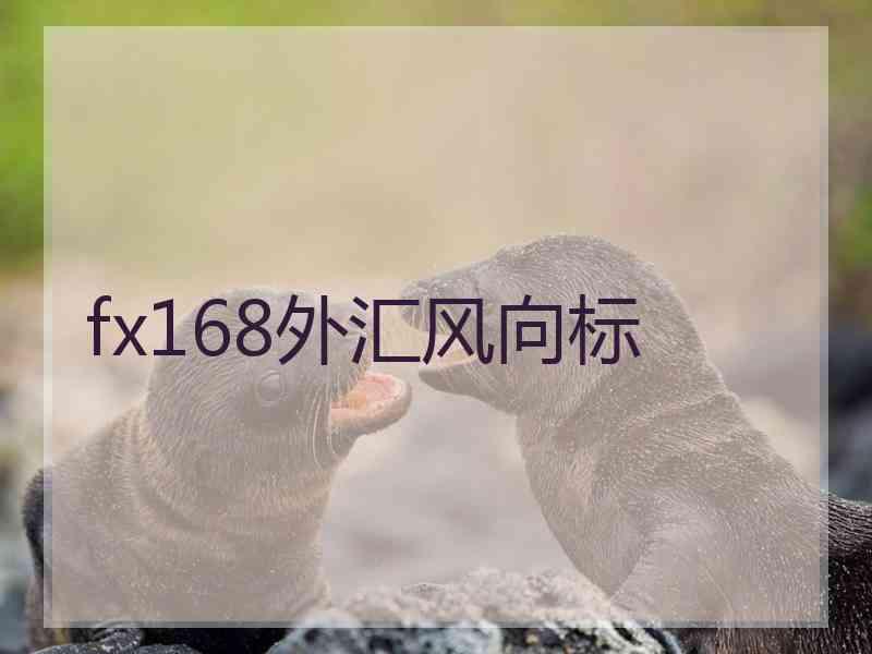 fx168外汇风向标