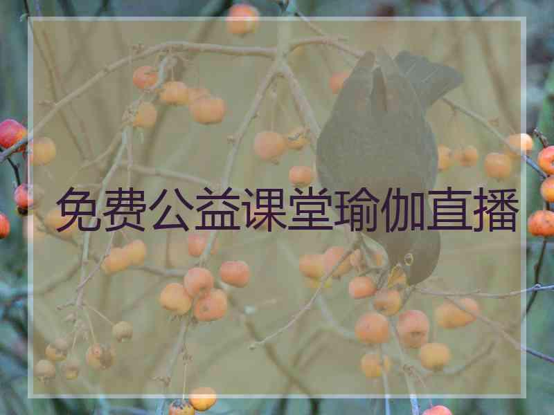 免费公益课堂瑜伽直播