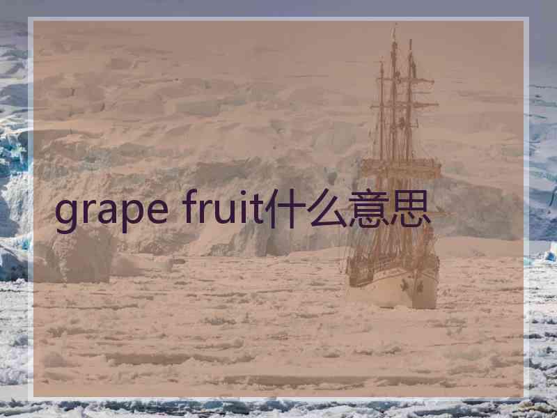 grape fruit什么意思