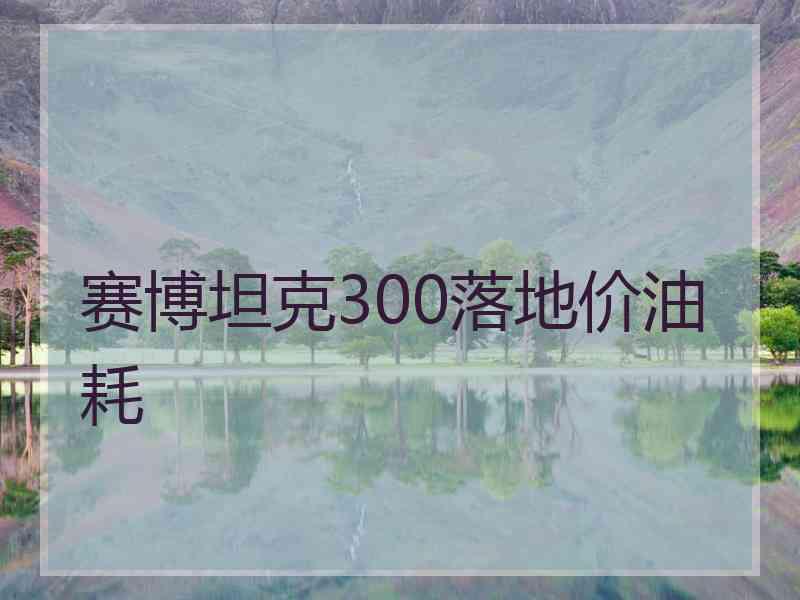 赛博坦克300落地价油耗