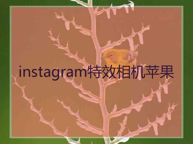 instagram特效相机苹果