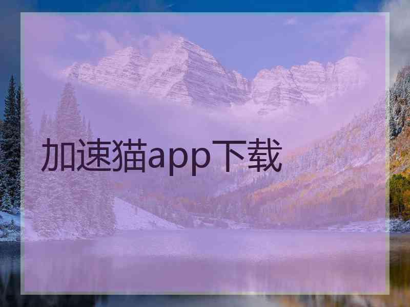 加速猫app下载