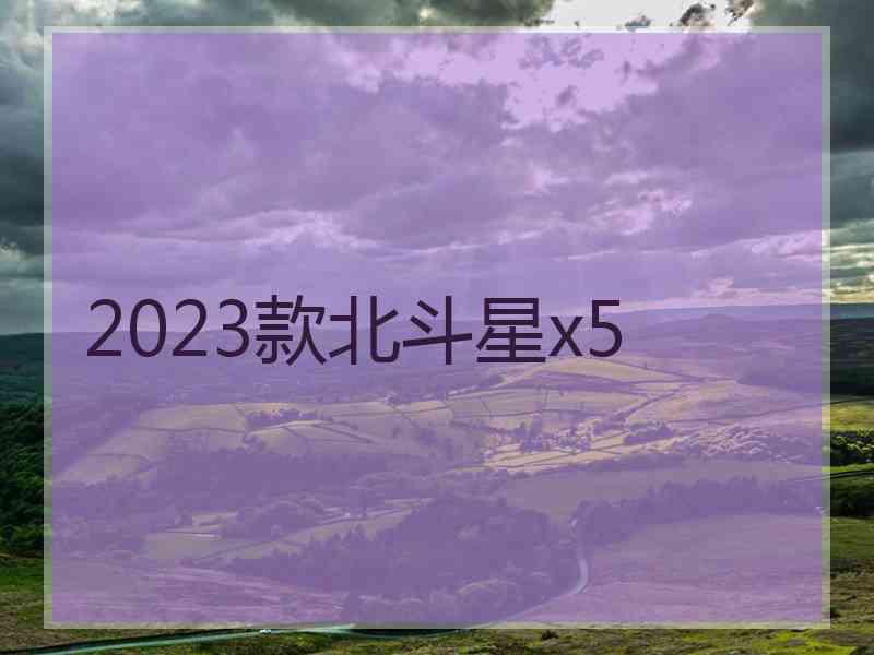 2023款北斗星x5