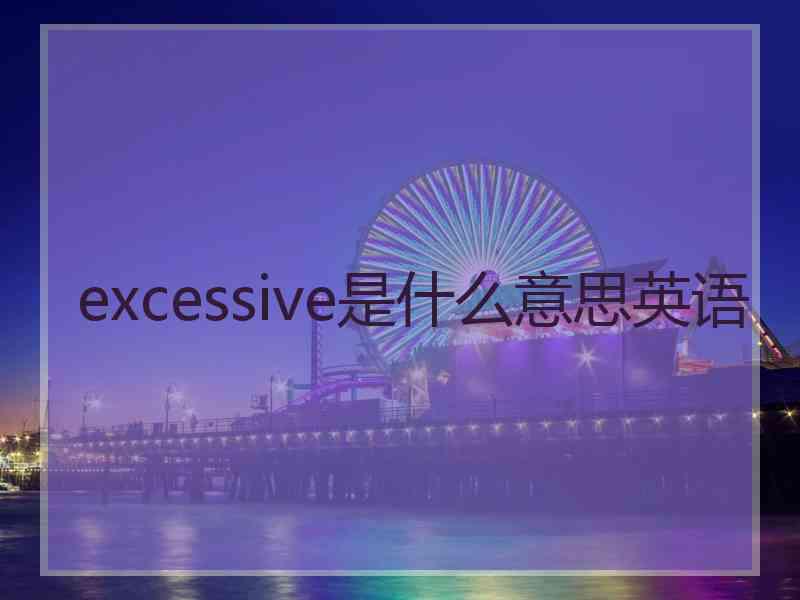 excessive是什么意思英语