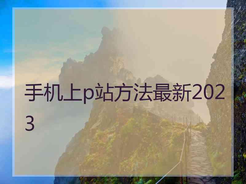 手机上p站方法最新2023