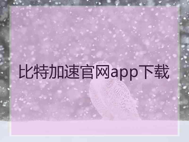 比特加速官网app下载