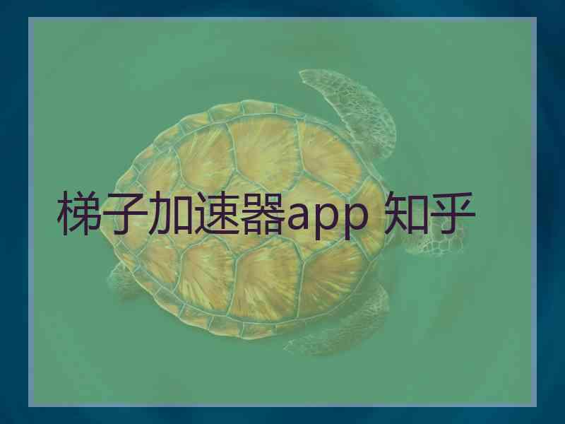 梯子加速器app 知乎