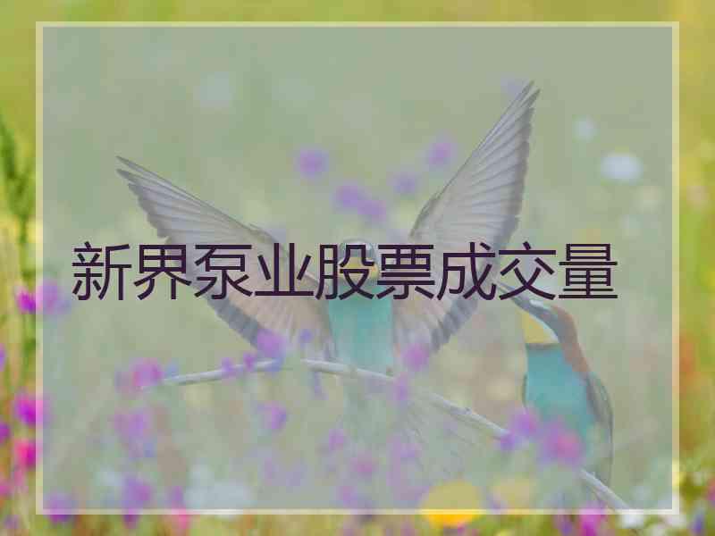 新界泵业股票成交量