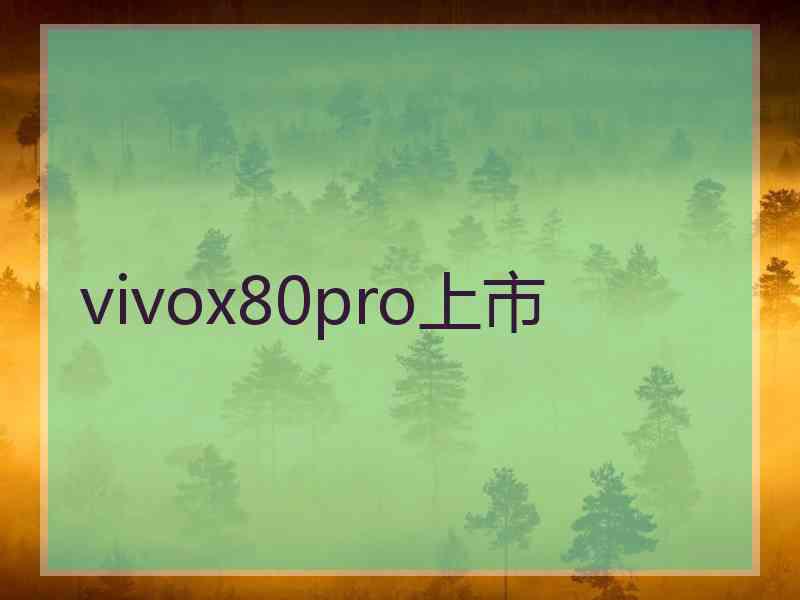 vivox80pro上市