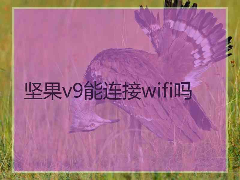 坚果v9能连接wifi吗