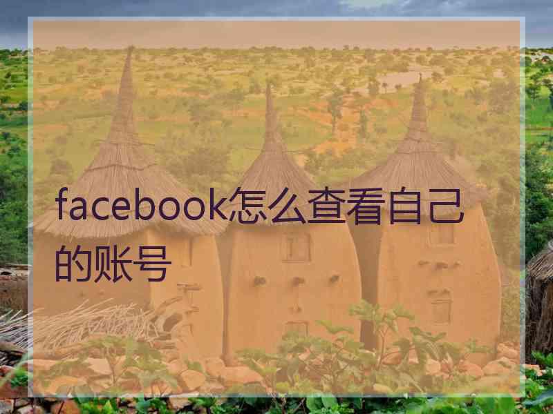 facebook怎么查看自己的账号