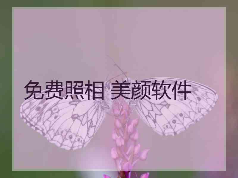 免费照相 美颜软件