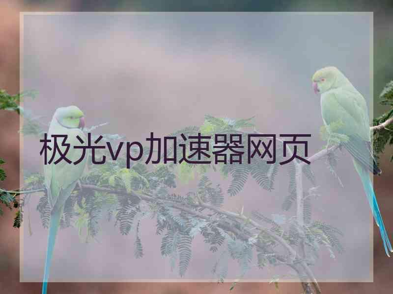 极光vp加速器网页