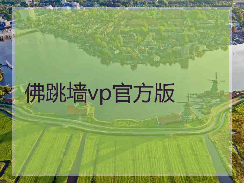 佛跳墙vp官方版