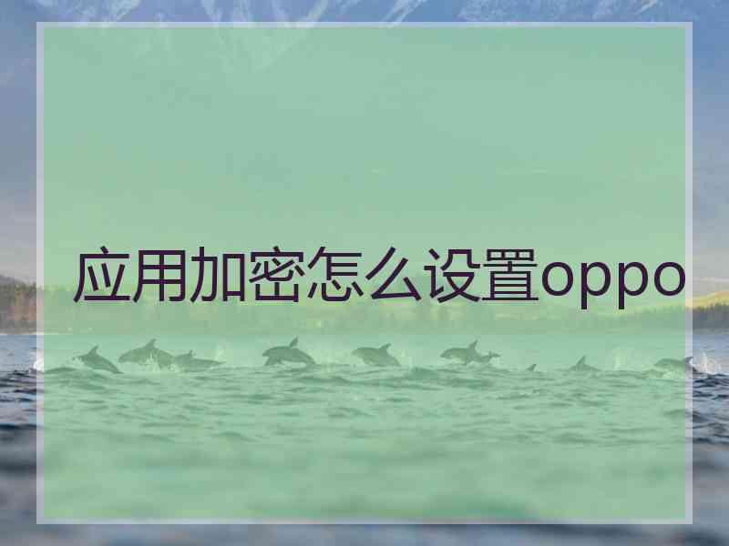 应用加密怎么设置oppo