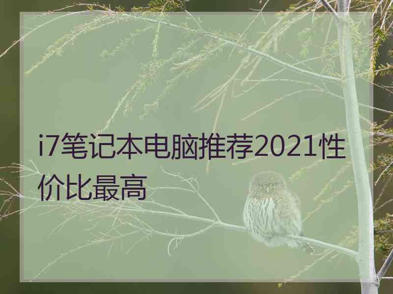 i7笔记本电脑推荐2021性价比最高