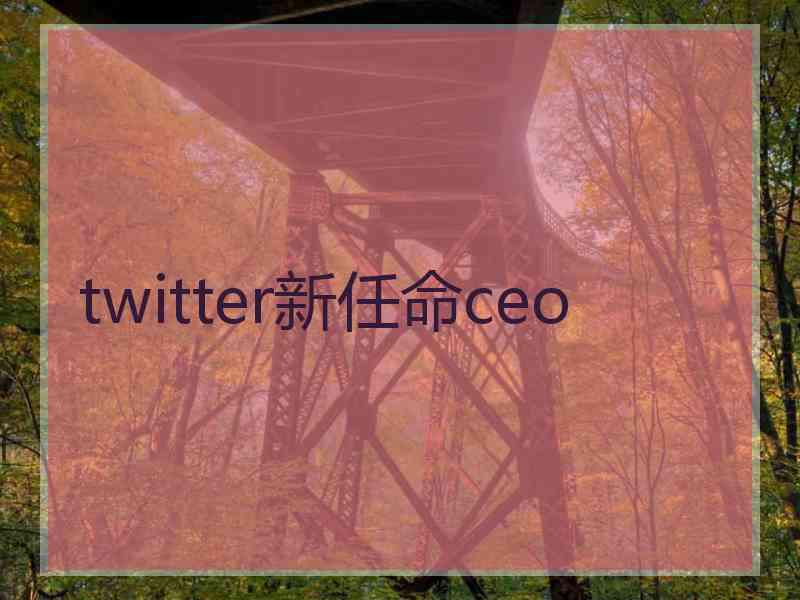 twitter新任命ceo