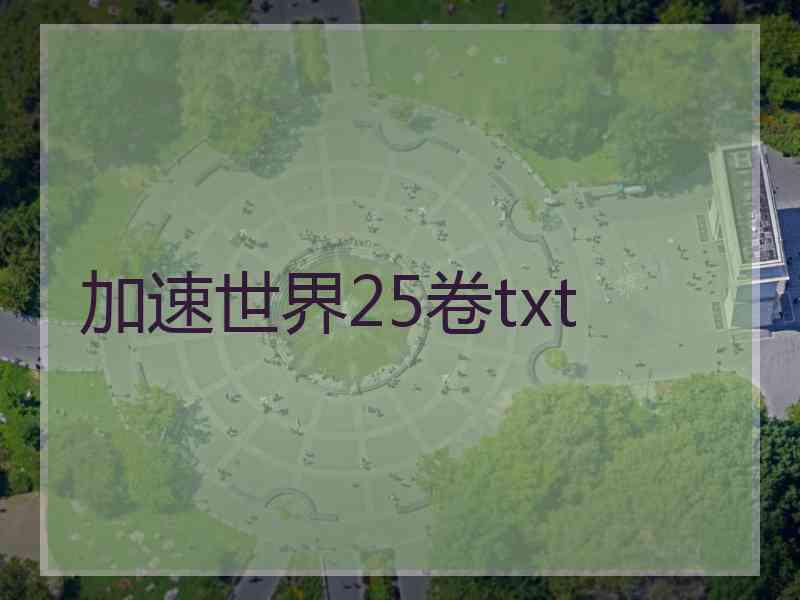 加速世界25卷txt