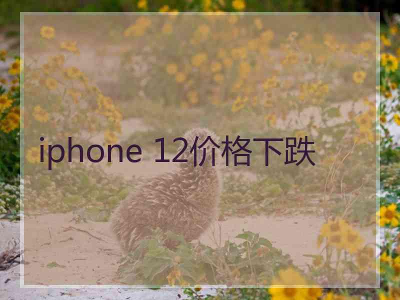 iphone 12价格下跌