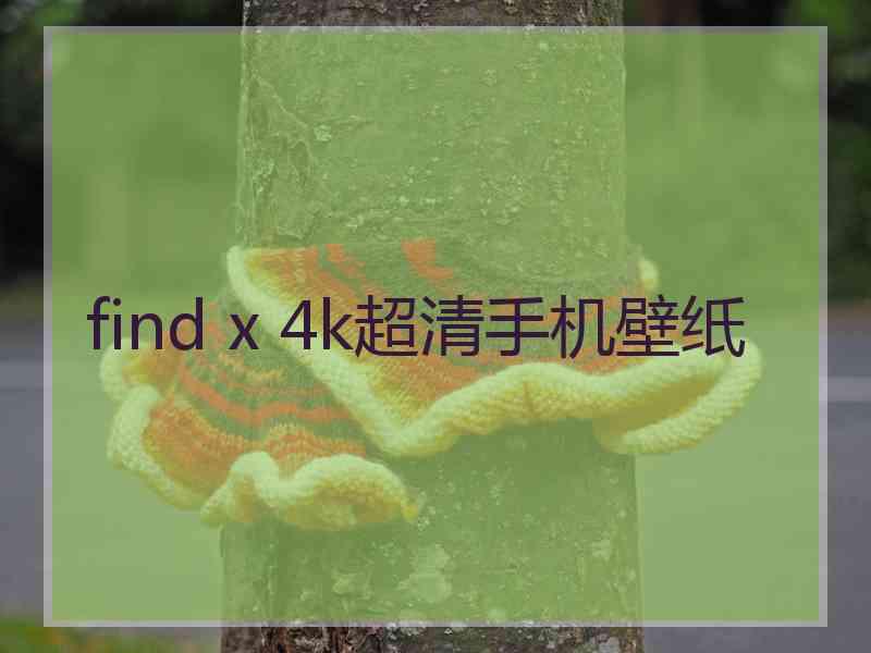 find x 4k超清手机壁纸