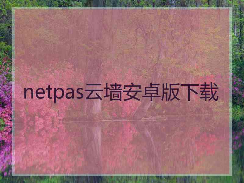 netpas云墙安卓版下载