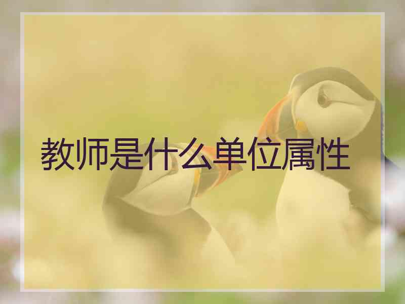 教师是什么单位属性