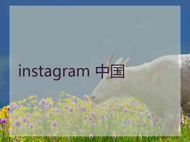 instagram 中国