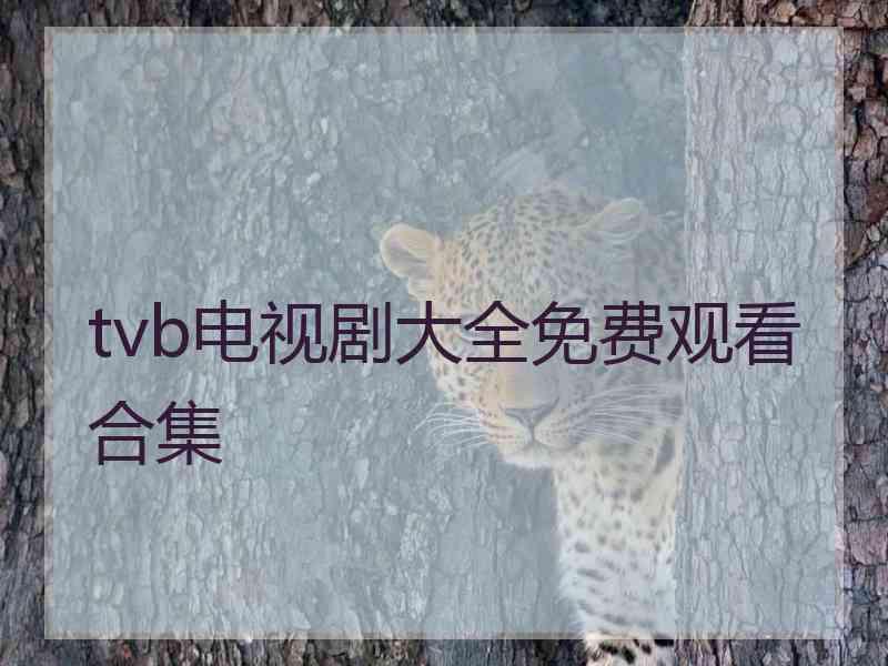 tvb电视剧大全免费观看合集