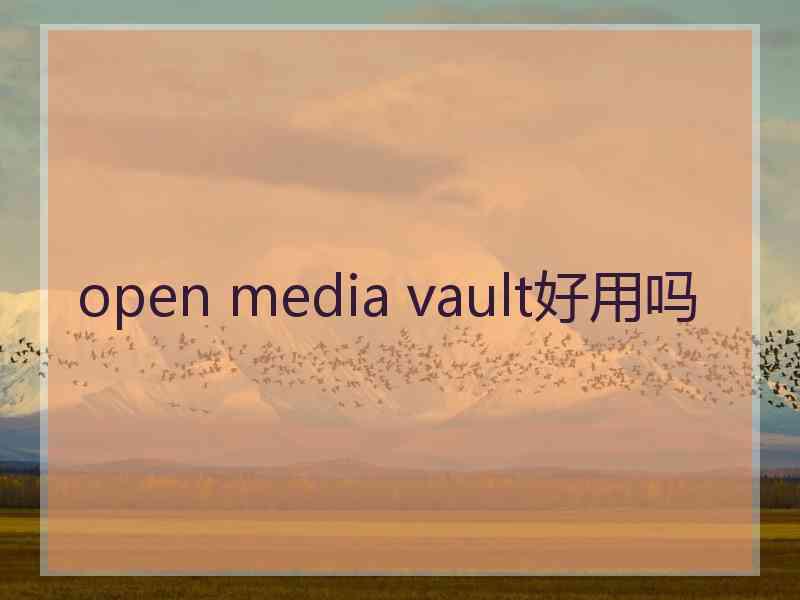 open media vault好用吗