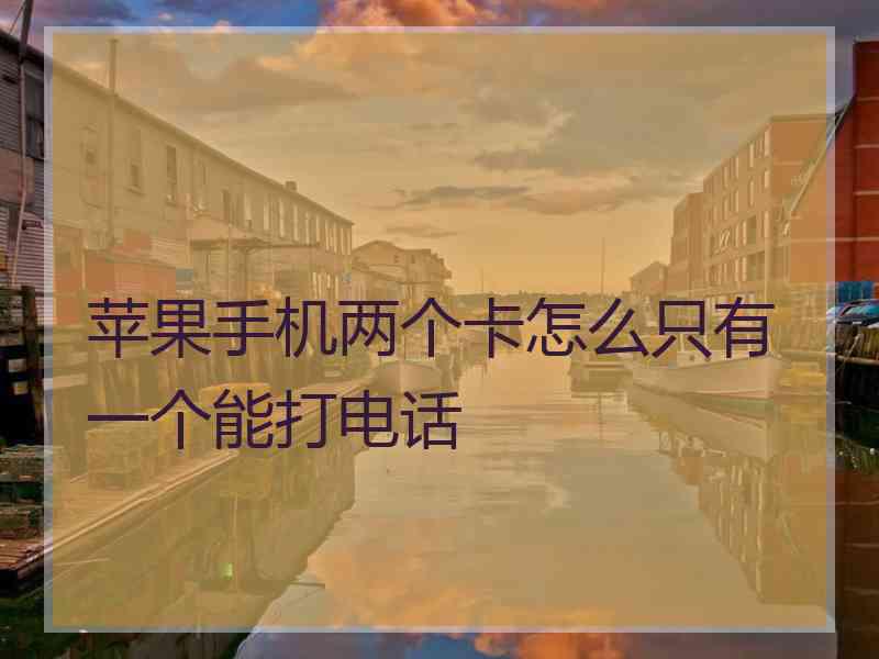 苹果手机两个卡怎么只有一个能打电话