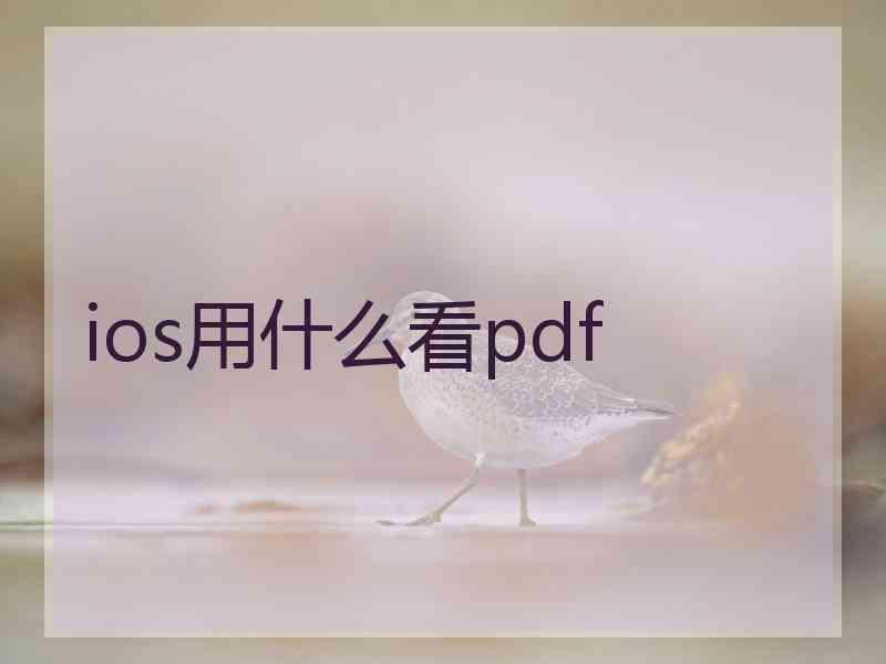 ios用什么看pdf