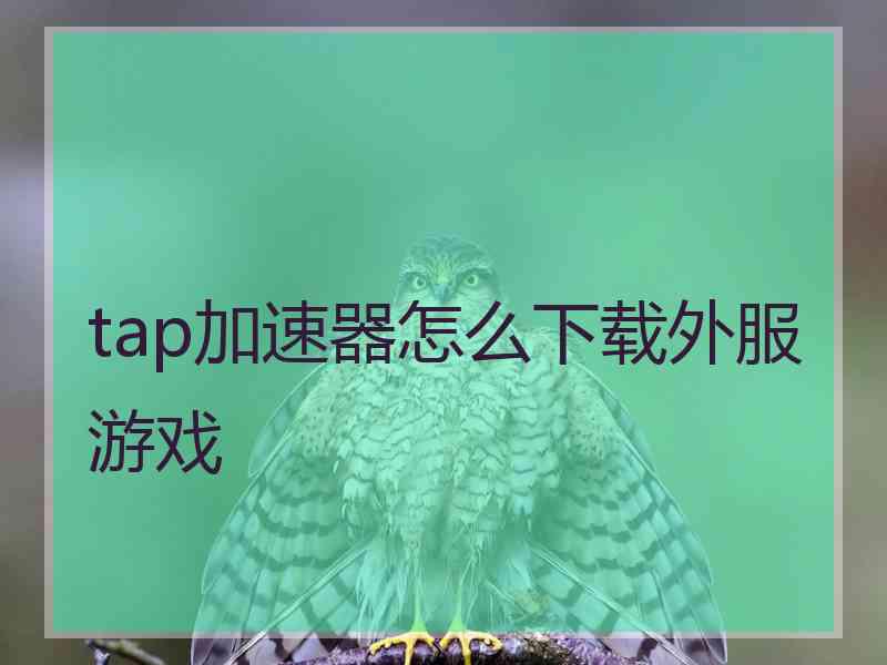 tap加速器怎么下载外服游戏